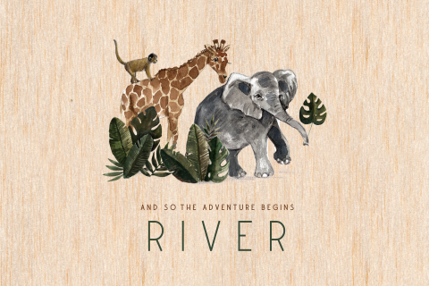 Stoer geboortekaartje op echt hout met giraf, olifant en aapje