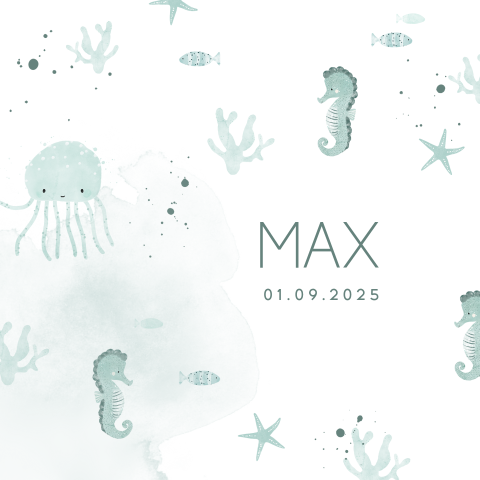 Illustratief geboortekaartje voor jongen met zeepaardje en vissen