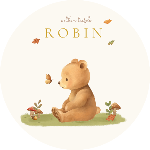 Raamsticker met beertje en vlinder