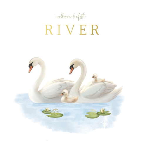 Unisex geboortekaartje met zwanen familie en naam in folie