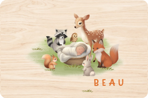 Memorybox baby met bosdieren en baby in mandje