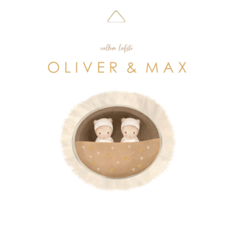 Schattig tegeltje met tweeling in mandje en goudkleurige details