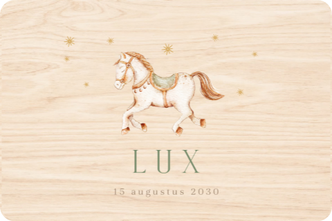 Memorybox met paardje