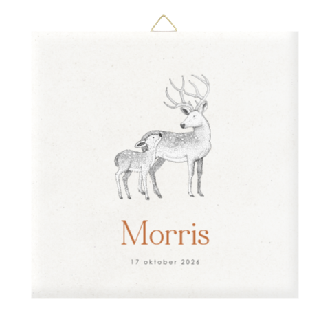 Geboortetegeltje stijlvol met hertjes en naam