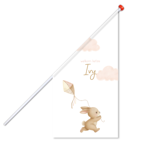 Geboortevlag meisje met konijn en vlieger