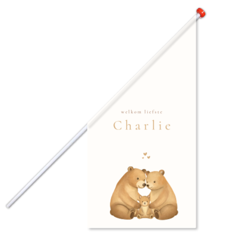 Geboortevlag met zittend berengezin