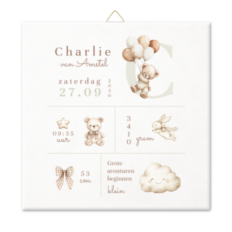 Geboortetegel met geboortegegevens en vakjes