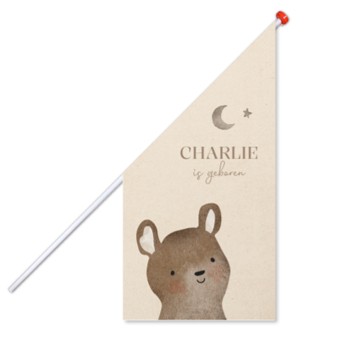 Beige geboortevlag met lief beertje