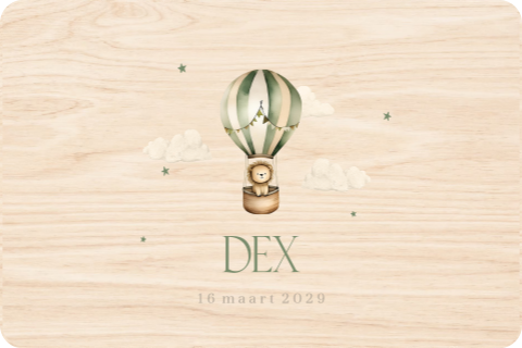 Memorybox met luchtballon en leeuwtje