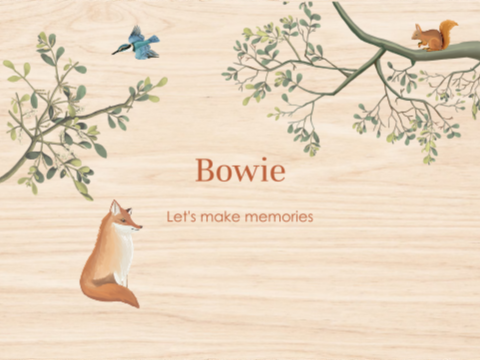 Memorybox baby met naam en bosdieren