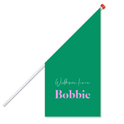 Geboortevlag groen colorblocking