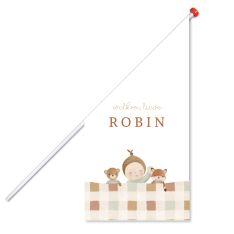 Geboortevlag met baby en knuffels