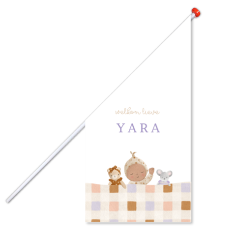 Geboortevlag met baby en dekentje