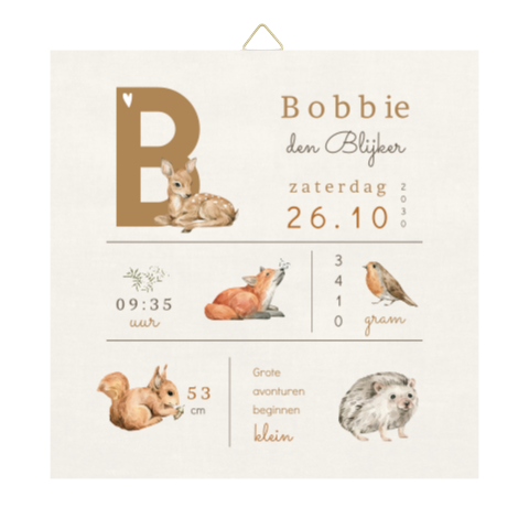 Tegeltje met geboortegegevens