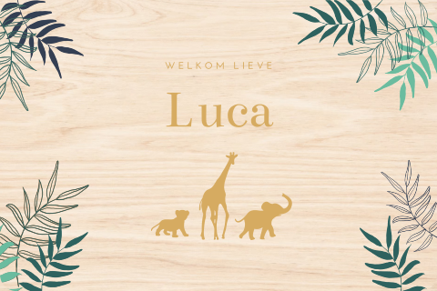 Memorybox met jungle bladeren en dieren