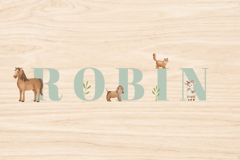 Memorybox groen met boerderijdieren