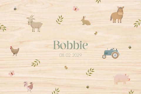 Memorybox met naam en boerderijdieren