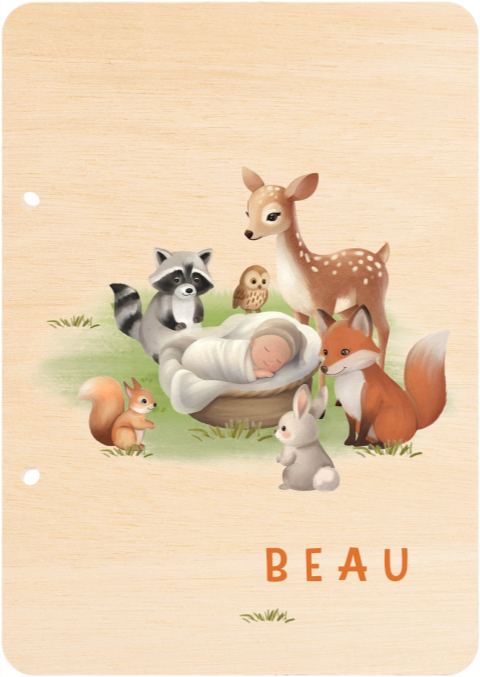 Houten bewaarbundel met bosdieren en baby in mandje