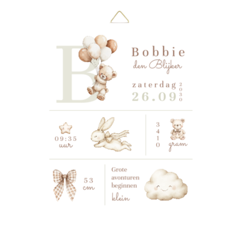 Geboortetegel met geboortegegevens en vakjes