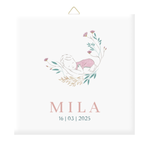 Geboortetegeltje meisje met pastelkleuren en bloemen