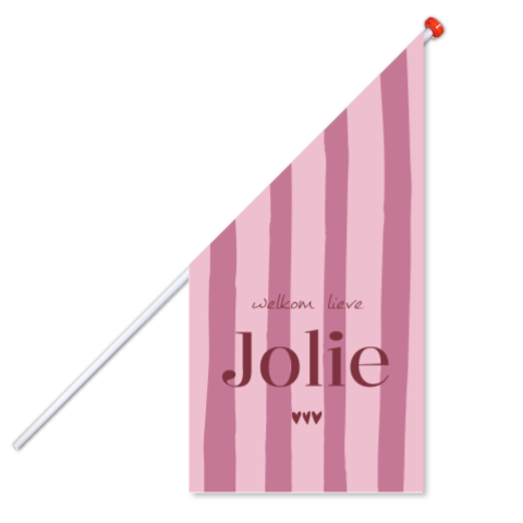 Moderne vlag met roze strepen en hartjes