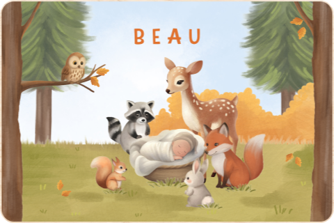 Memorybox baby herfst met bosdieren en blauwe lucht