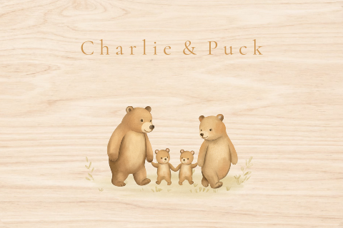 Memorybox beren tweeling