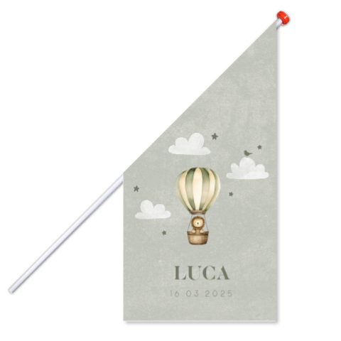 Geboortevlag groen met luchtballon en leeuwtje