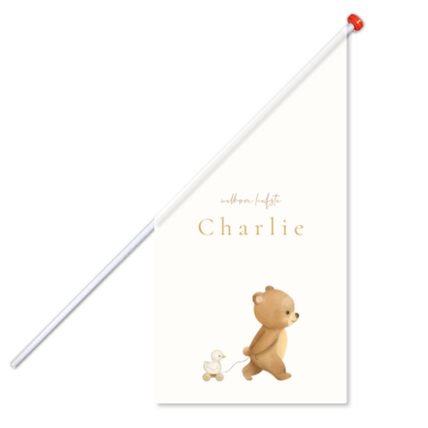 Geboortevlag unisex met beer en trekeendje