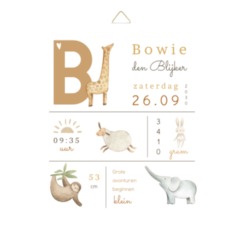 Hip geboortetegeltje met geboortegegevens