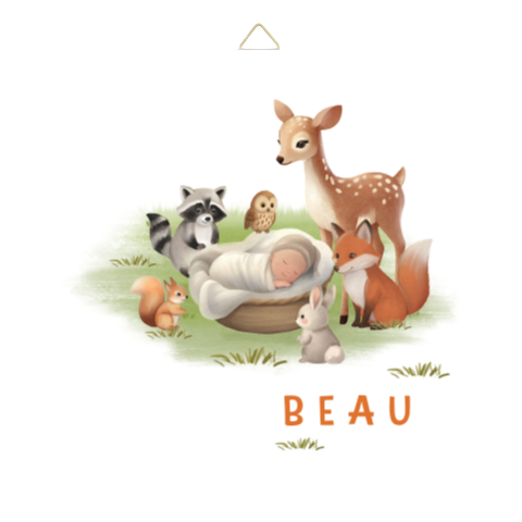Geboortetegeltje met bosdieren en baby in mandje