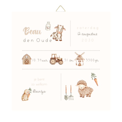 Geboortetegeltje met geboortegegevens