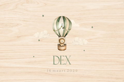 Memorybox met luchtballon en leeuwtje