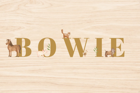 Memorybox met naam en boerderijdieren