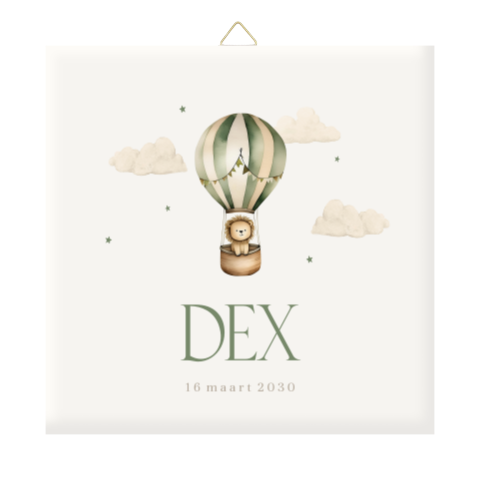 Lief geboortetegeltje met luchtballon en leeuwtje