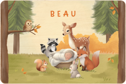 Memorybox baby met bosdieren en herfstlucht