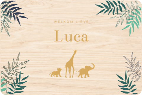 Memorybox met jungle bladeren en dieren