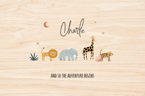 Memorybox met vrolijke jungledieren