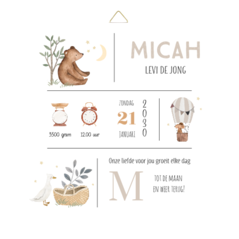 Geboortetegeltje met bosdieren en geboortegegevens