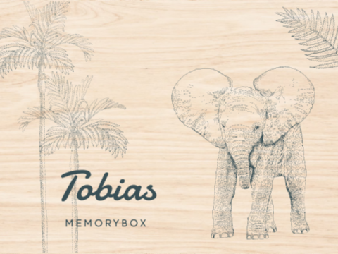 Memorybox baby met naam en illustratie olifant