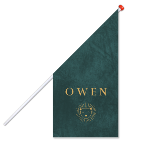 Geboortevlag stoer groen met leeuw