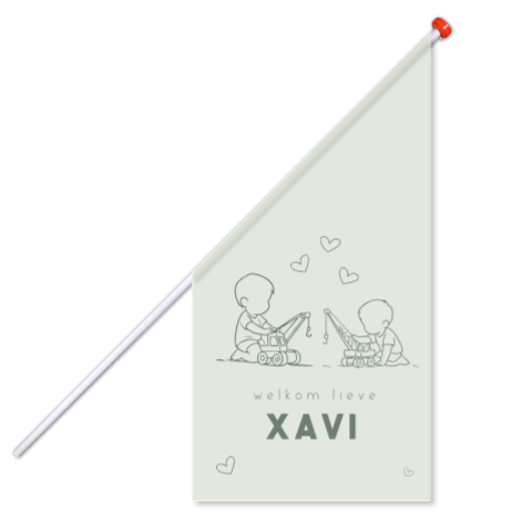 Geboortevlag met lijntekening van twee broertjes en hijskranen