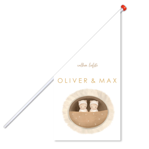 Minimalistische geboortevlag met tweeling in mandje en gouden details 