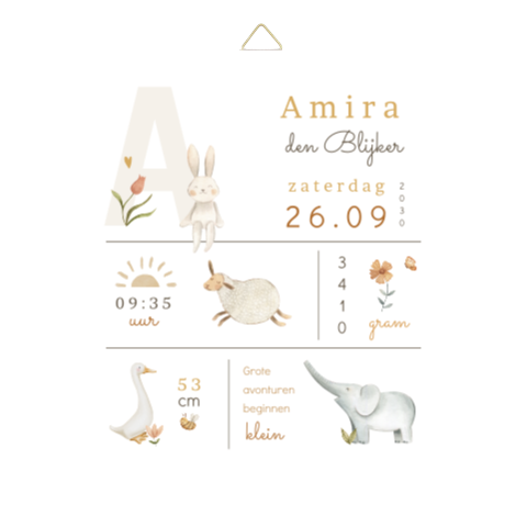 Geboortetegel met vakjesindeling en geboortegegevens