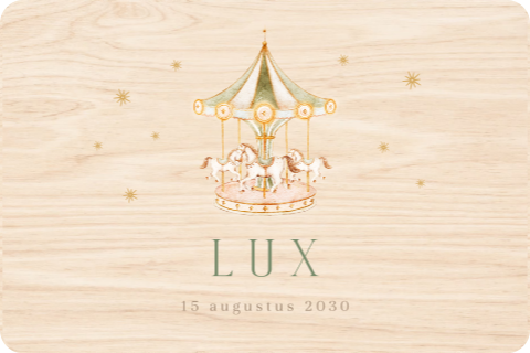 Memorybox met carrousel en paardjes 