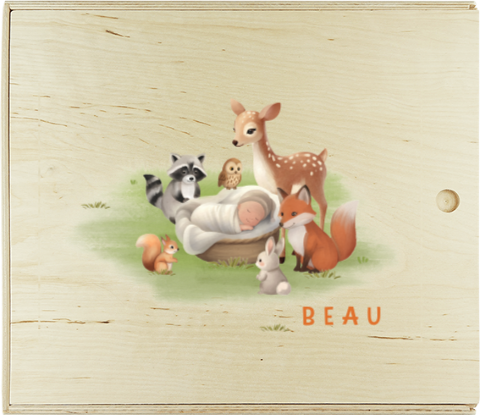 Doopsuiker presentatie doos met bosdieren en baby in mandje