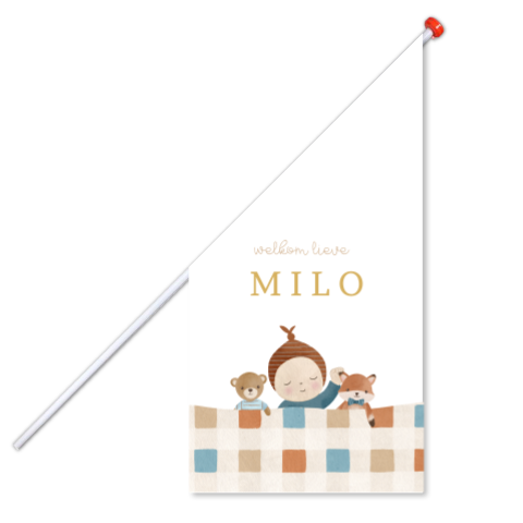 Geboortevlag jongen met baby en knuffels