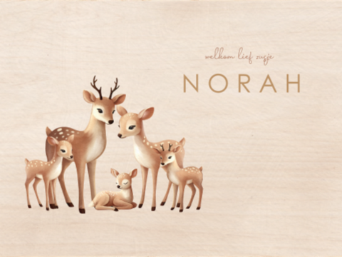 Memorybox met hertengezinnetje voor een broertje of zusje