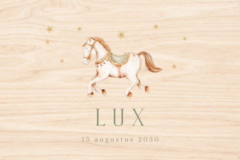 Memorybox met paardje