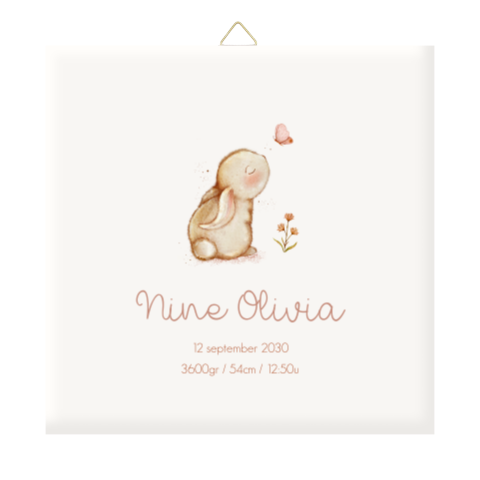 Geboortetegeltje met lief konijntje en vlinder